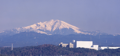 LHD���������i